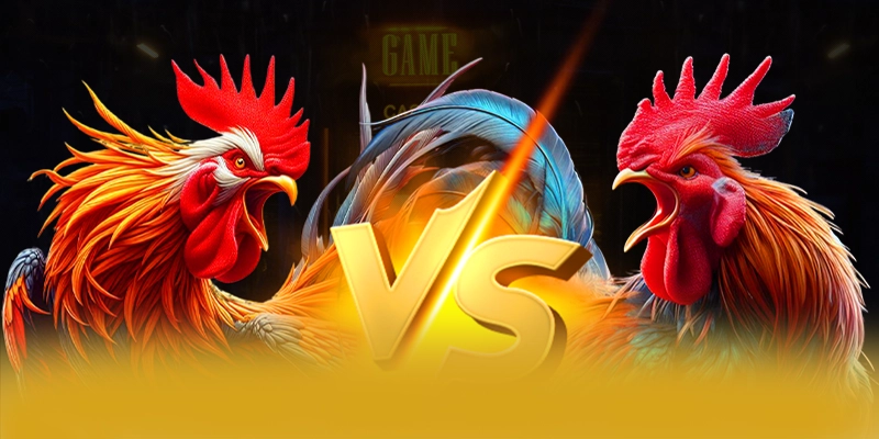 Khả năng truy cập trên điện thoại di động cùng 8XBET Khả năng truy cập trên điện thoại di động cùng 8XBET