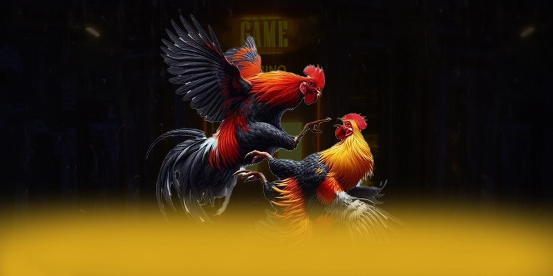 W88 - Cổng game quy tụ nhiều siêu phẩm hot trên thị trường W88 - Cổng game quy tụ nhiều siêu phẩm hot trên thị trường
