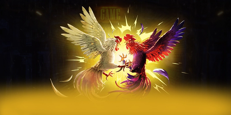 Quy trình giao dịch đa dạng tại 8XBET Quy trình giao dịch đa dạng tại 8XBET